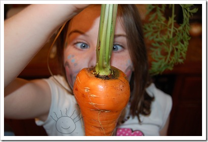 carrots2